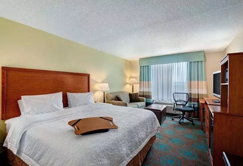 اتاق استاندارد با تخت دوبل برای معلولان, Hampton Inn Lake Havasu City