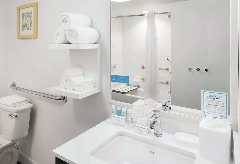 اتاق استاندارد برای معلولان, Hampton Inn Los Angeles/santa Clarita