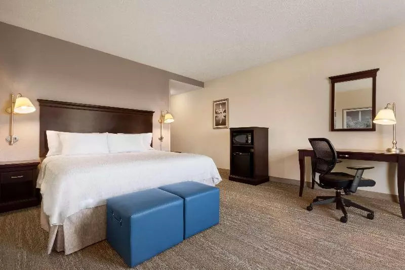 اتاق استاندارد با تخت بزرگ, Hampton Inn & Suites Washingtondulles International Airport