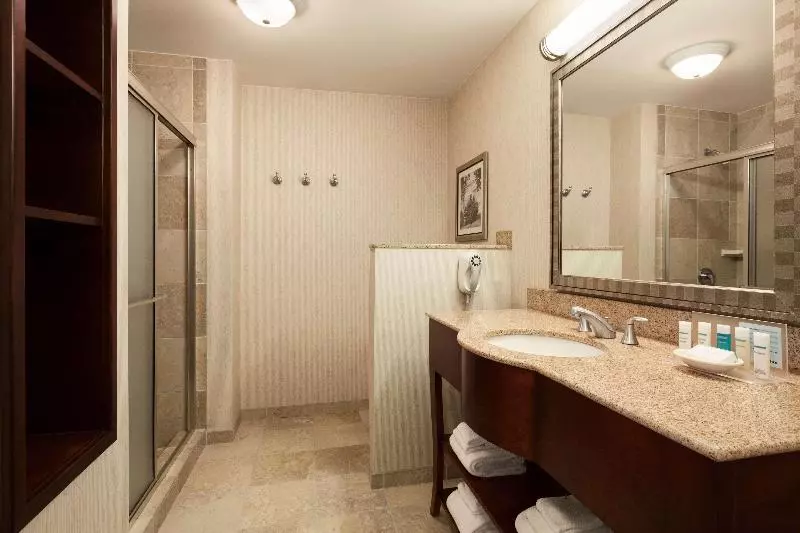 اتاق استاندارد با تخت بزرگ, Hampton Inn & Suites Washingtondulles International Airport