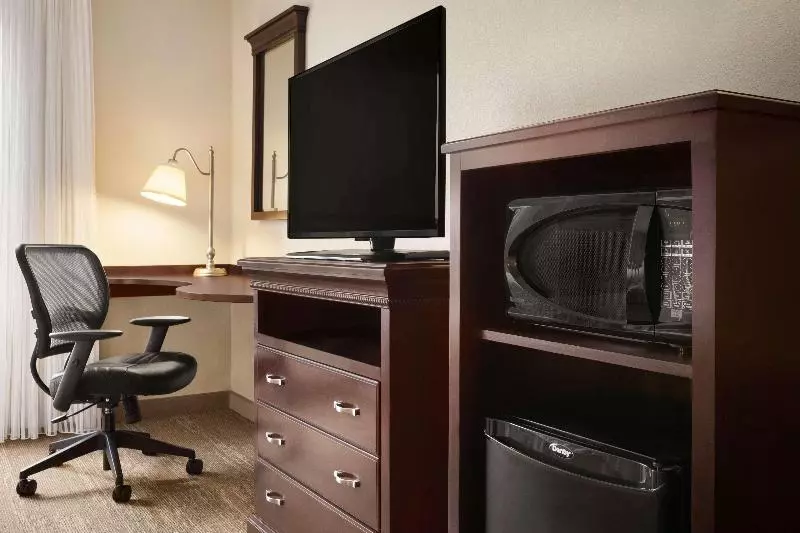 اتاق استاندارد با تخت بزرگ, Hampton Inn & Suites Washingtondulles International Airport