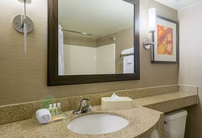 ２ダブルベッドのスタンダードルーム, Holiday Inn Harrisburg I 81 Hershey Area, An Ihg
