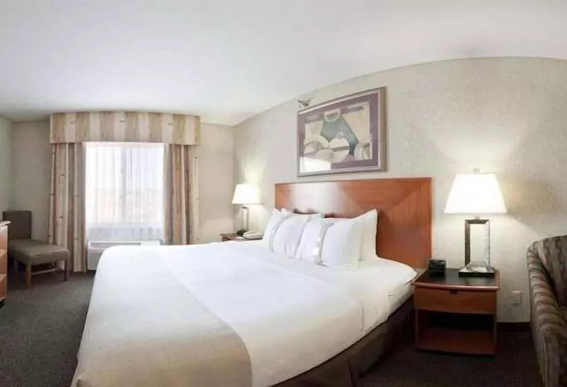 身障者適用スタンダードルーム, Holiday Inn Rock Springs By Ihg