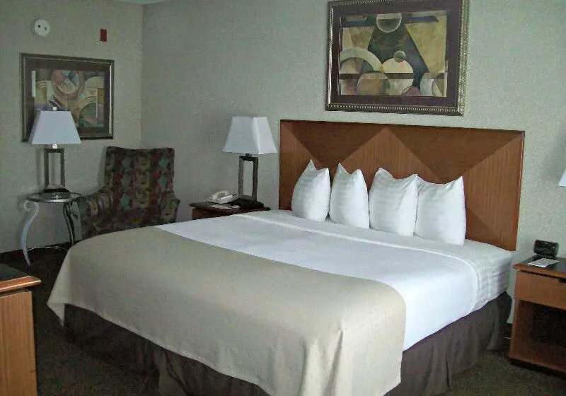 キングサイズベッドのエクゼクティブルーム, Holiday Inn Rock Springs, An Ihg