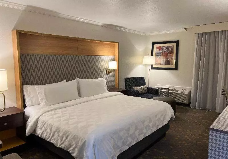 キングサイズベッドのスタンダードルーム, Holiday Inn Rock Springs, An Ihg
