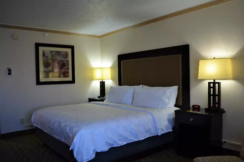 キングサイズベッドのスタンダードルーム, Holiday Inn Rock Springs, An Ihg