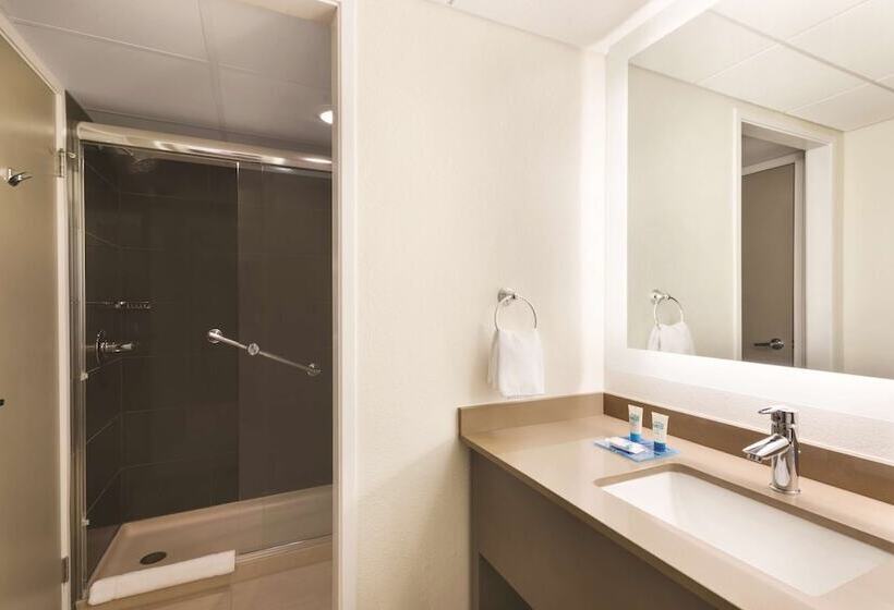 Люкс, Clt Sky Suites