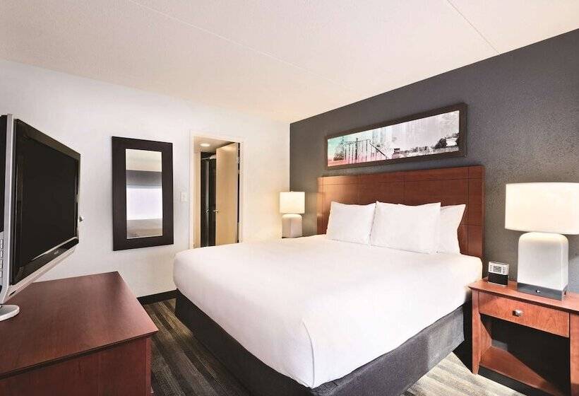 Люкс, Clt Sky Suites