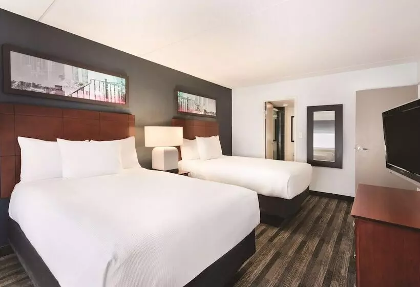 ２ベッドスイートルーム, Clt Sky Suites