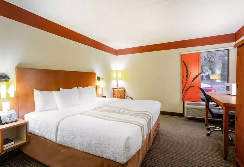 キングサイズベッドのスイートルーム, Clt Airport Inn & Suites