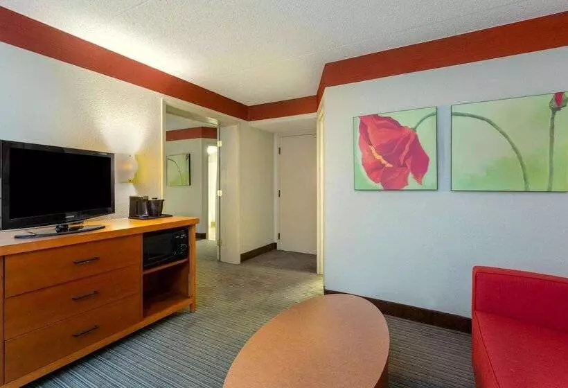 キングサイズベッドのスイートルーム, Clt Airport Inn & Suites