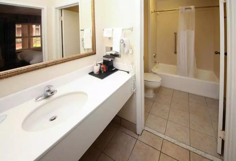 ２ダブルベッドのスタンダードルーム, Quality Inn Orange Park Jacksonville