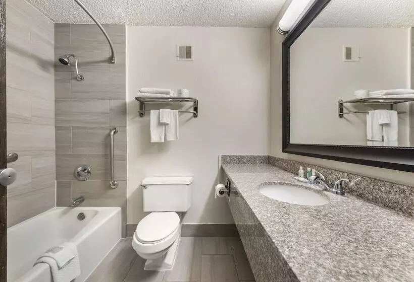 اتاق استاندارد با 2 تخت دوبل, Quality Inn Alamosa