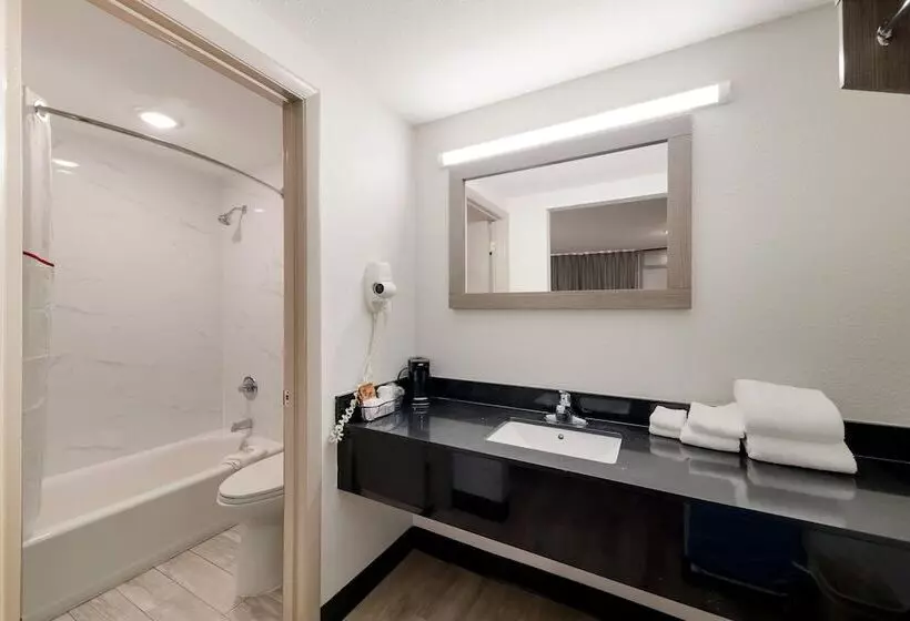 Deluxe-huone, Red Roof Inn & Conference Center Mckinney