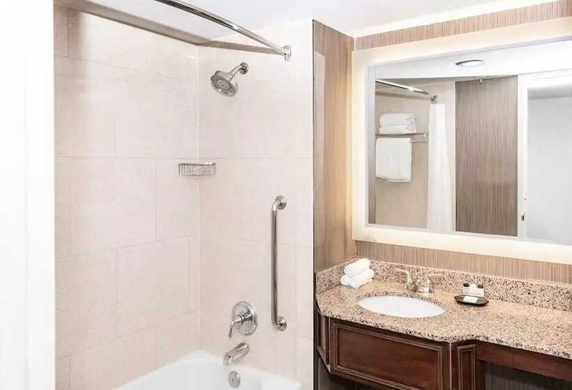 Deluxe-huone Soveltuu Liikuntarajoitteisille, Sheraton Indianapolis City Centre
