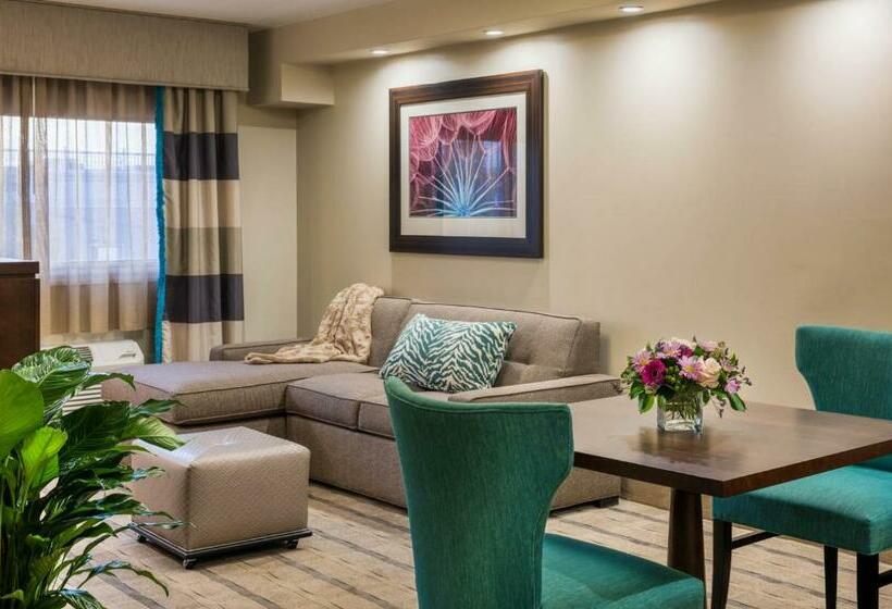 Номер Deluxe Кровать Кинг, The Kenilworth