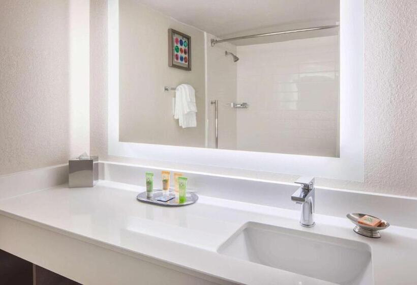 Стандартный Номер Кровать Кинг, Wyndham Garden Marietta Atlanta North