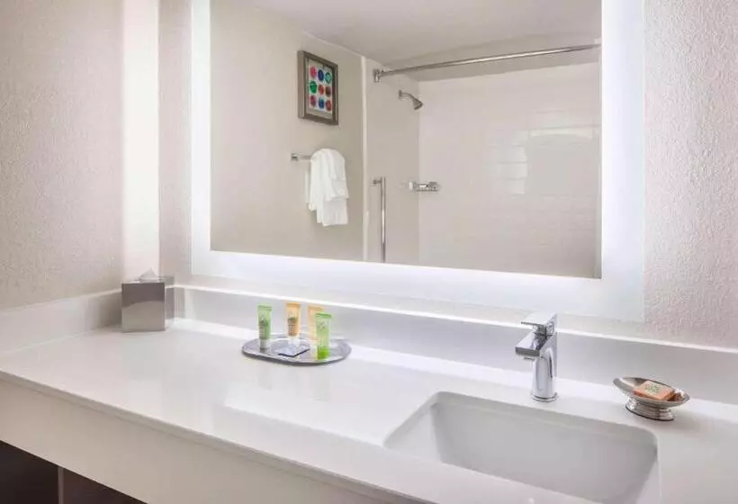 Deluxe-huone King-vuode, Wyndham Garden Marietta Atlanta North