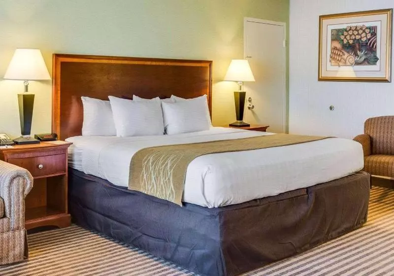 キングサイズベッドのスタンダードルーム, Clarion Inn