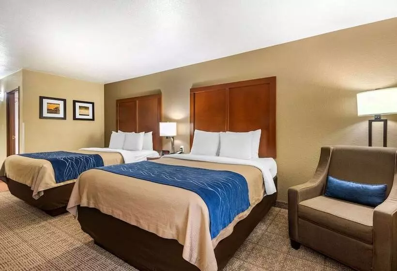 اتاق استاندارد, Comfort Inn & Suites Springfield I 44