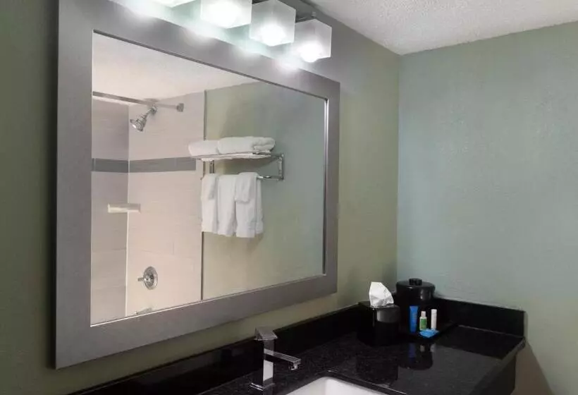 سوئیت با تخت بزرگ, Holiday Inn Corpus Christi Arpt & Conf Ctr, An Ihg