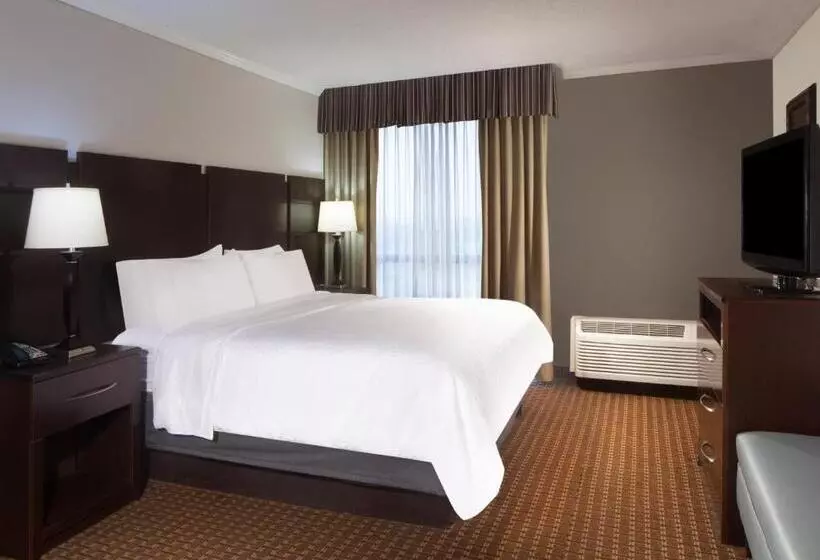 سوئیت با تخت بزرگ, Holiday Inn Corpus Christi Arpt & Conf Ctr, An Ihg