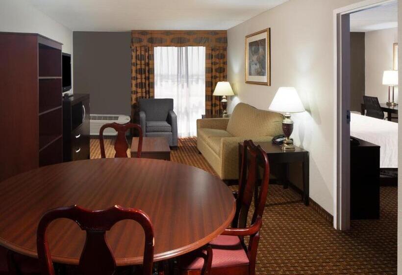 جناح سرير كينج, Holiday Inn Corpus Christi Arpt & Conf Ctr, An Ihg