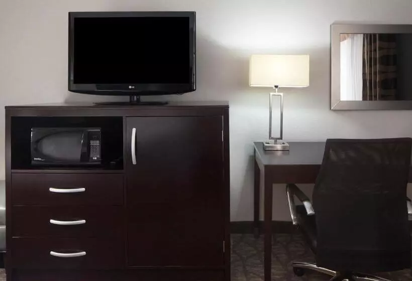 اتاق استاندارد با تخت بزرگ برای معلولان, Holiday Inn Corpus Christi Arpt & Conf Ctr, An Ihg
