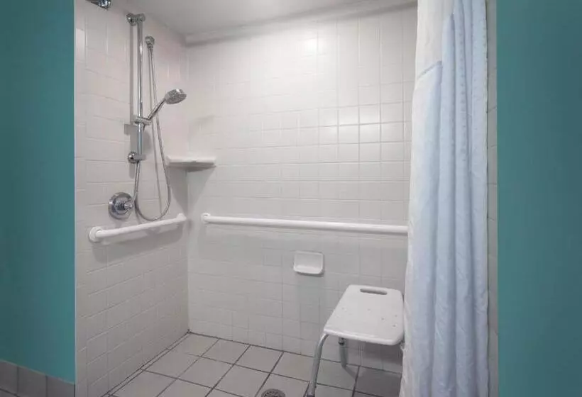 اتاق استاندارد با تخت دو نفره بزرگ برای معلولان, Holiday Inn Corpus Christi Arpt & Conf Ctr, An Ihg