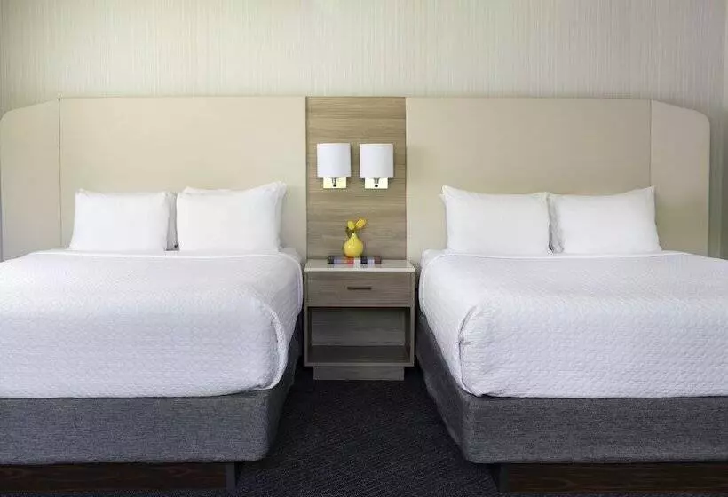 اتاق استاندارد, Crowne Plaza Atlanta Perimeter At Ravinia, An Ihg