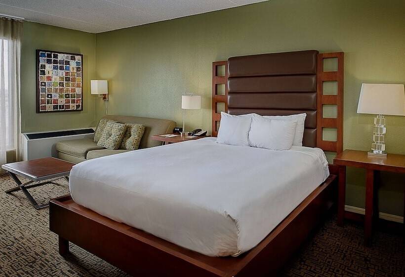 标准间, Doubletree By Hilton Collinsville St. Louis