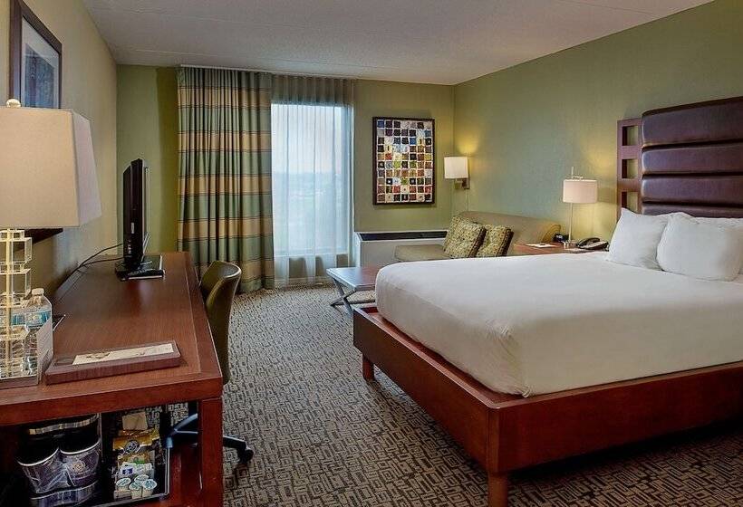 标准间, Doubletree By Hilton Collinsville St. Louis
