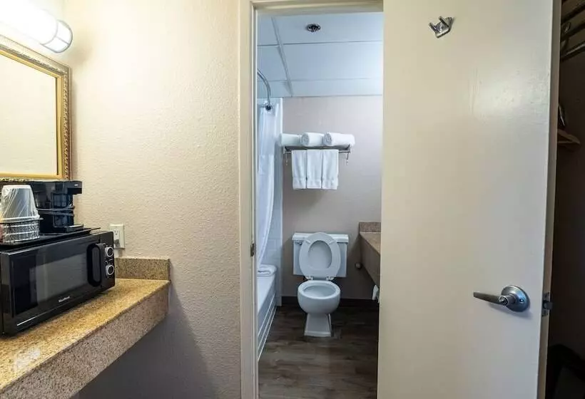 اتاق استاندارد با 2 تخت دوبل, Emerald Beach Hotel Corpus Christi