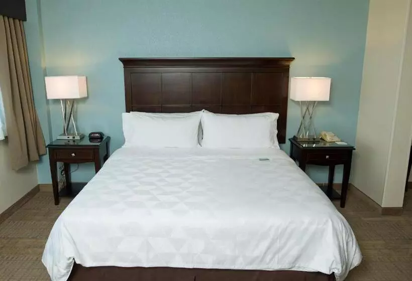 キングサイズベッドのスタンダードルーム, Holiday Inn Birmingham Airport, An Ihg