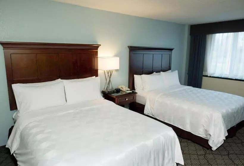 身障者適用スタンダードルーム, Holiday Inn Birmingham Airport, An Ihg