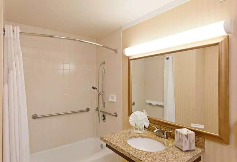 اتاق استاندارد با 2 تخت دوبل, Holiday Inn Long Beach Airport, An Ihg