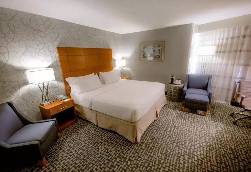 اتاق اجرایی با تخت بزرگ, Holiday Inn Raleigh Downtown, An Ihg