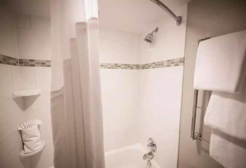 اتاق اجرایی با تخت بزرگ, Holiday Inn Raleigh Downtown, An Ihg