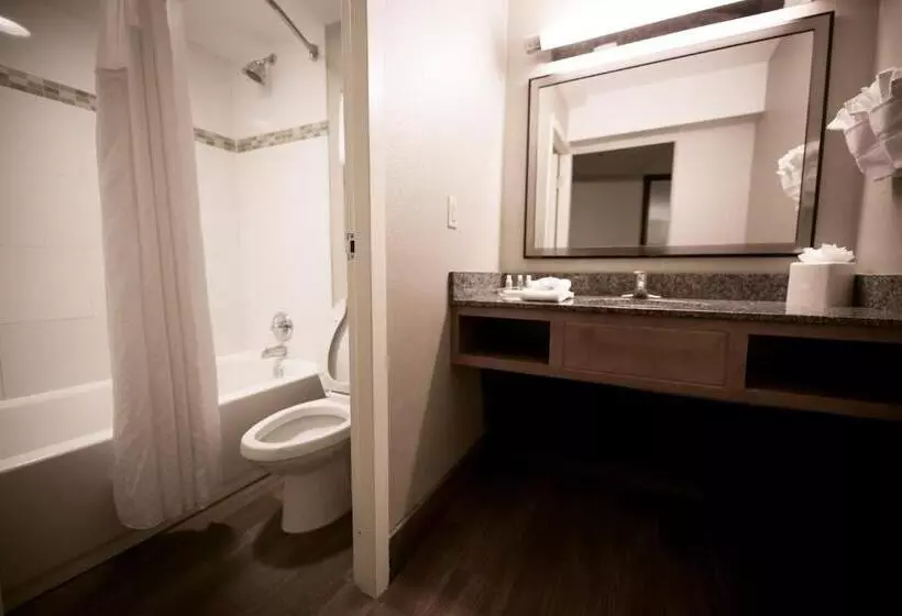 اتاق استاندارد برای معلولان, Holiday Inn Raleigh Downtown, An Ihg