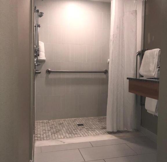 Номер Стандарт Адаптированный для Инвалидов, Holiday Inn Raleigh Downtown, An Ihg