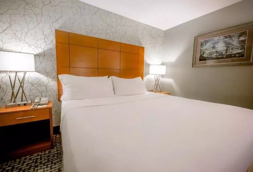 اتاق استاندارد, Holiday Inn Raleigh Downtown, An Ihg