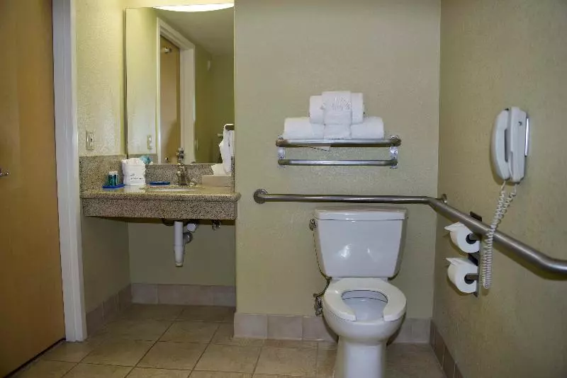 اتاق استاندارد با تخت بزرگ, Holiday Inn Raleigh Downtown, An Ihg
