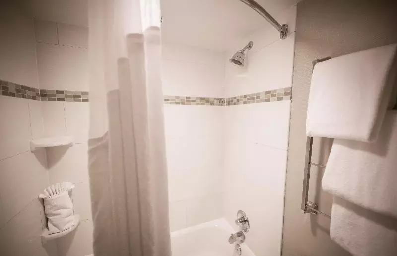 اتاق اجرایی با تخت بزرگ, Holiday Inn Raleigh Downtown, An Ihg
