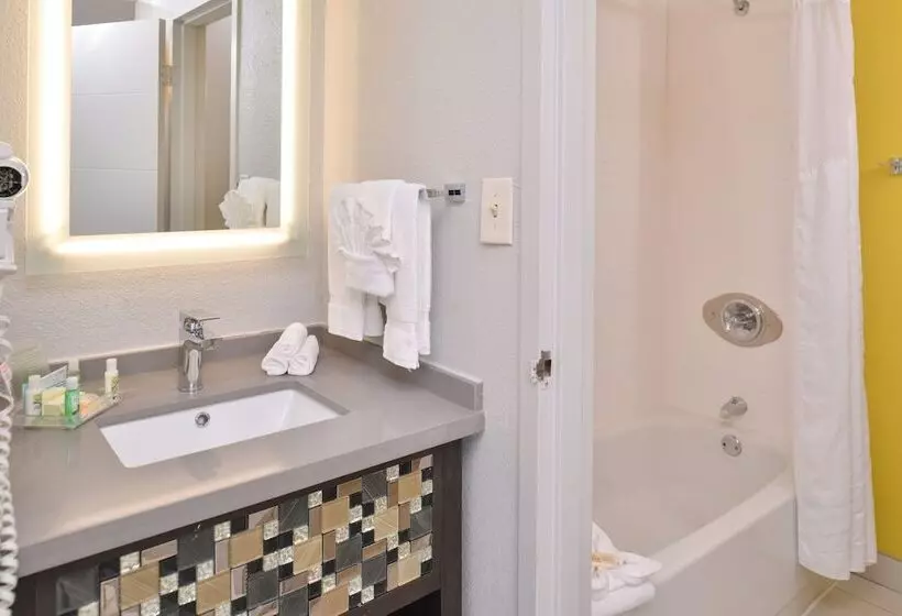 ２ダブルベッドのスタンダードルーム, Holiday Inn Dallas Richardson, An Ihg