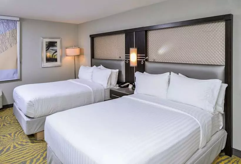 ２ダブルベッドのスタンダードルーム, Holiday Inn Dallas Richardson, An Ihg