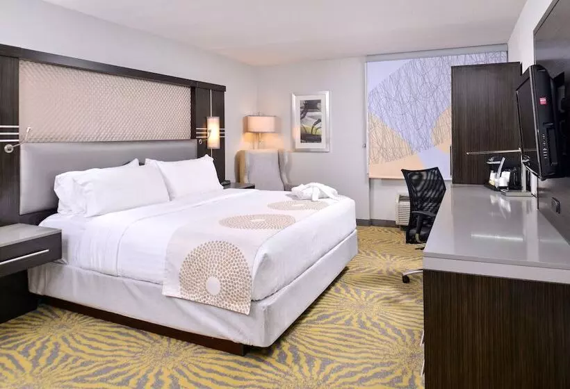 スイート, Holiday Inn Dallas Richardson, An Ihg