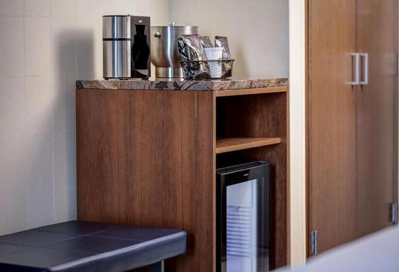 适合残疾人士使用的带超级大床的标准间, Hyatt Regency Baltimore