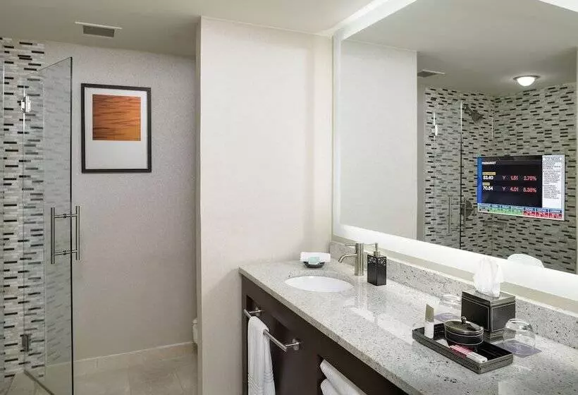 スイート, Hyatt Regency Suites Atlanta Northwest