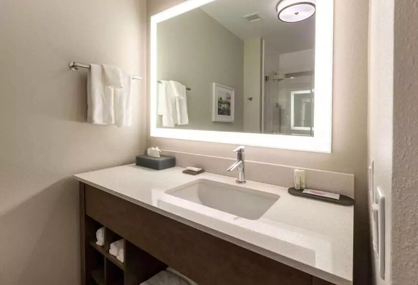 キングサイズベッドのデラックスルーム, La Quinta Inn & Suites By Wyndham Middletown