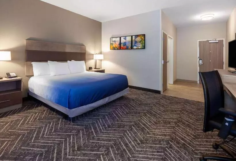 キングサイズベッドのデラックスルーム, La Quinta Inn & Suites By Wyndham Middletown